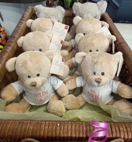 Teddy Bears