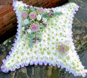 Cushion